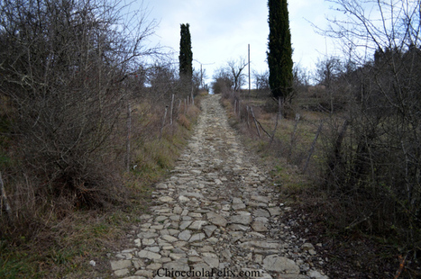 Into the Chianti | EcoTurismo e Mobilità Sostenibile | Scoop.it