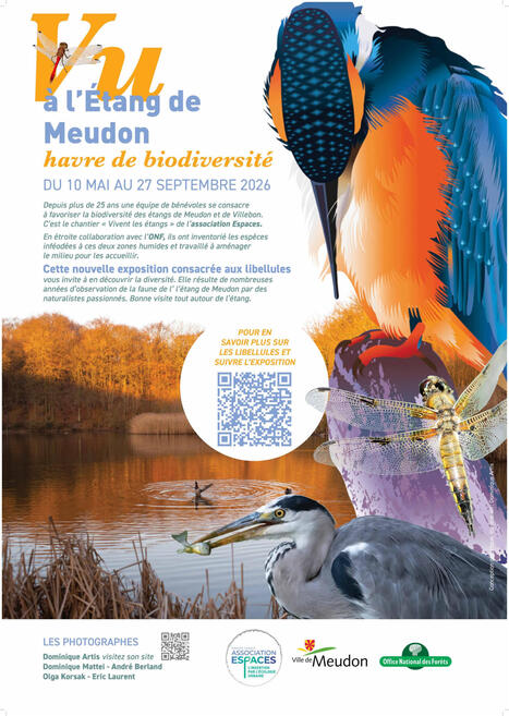 Jusqu'au 27 septembre - Libellules &agrave; l&rsquo;&eacute;tang de Meudon &ndash; Exposition en plein air | Vari&eacute;t&eacute;s entomologiques | Scoop.it