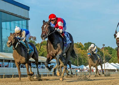 Laurel to Resume Racing After Surface Evaluated by HISA - BloodHorse | Racing Regulatory Issues | Scoop.it