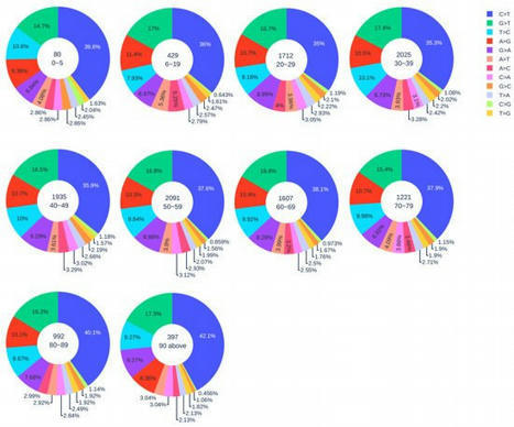 Viruses | Free Full-Text | Host Immune Response Driving SARS-CoV-2 Evolution | HTML | Immunology | Scoop.it