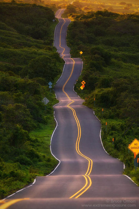 My Life by Bruce Omori | My Photo | Scoop.it