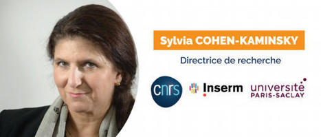 Sylvia Cohen-Kaminsky, porteuse du projet DUAL : Développement d'une nouvelle stratégie thérapeutique pour le cancer | Life Sciences Université Paris-Saclay | Scoop.it