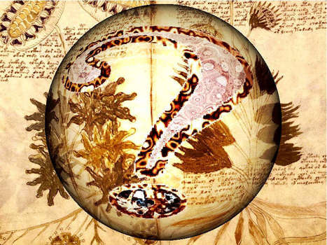 Manuscrit Voynich | Merveilles - Marvels | Scoop.it