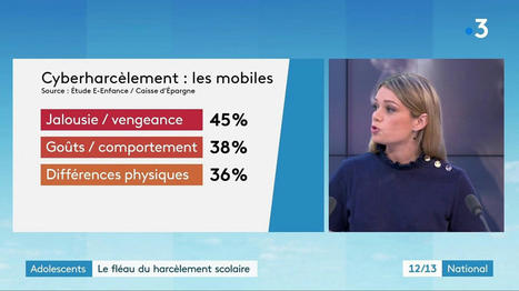 Harcèlement : un danger omniprésent dans la vie des enfants et adolescents | Actualité sanitaire et sociale - CRDI Croix-Rouge Compétence                               Hauts-de-France | Scoop.it