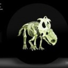 A Dinosaur-Themed Glow-in-the-Dark Coin by Royal Canadian Mint | Antiques & Vintage Collectibles | Scoop.it