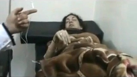 Aux Assises du journalisme, le grand reportage en question | DocPresse ESJ Lille | Scoop.it