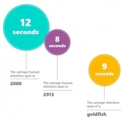 Le NUMÉRIQUE réduit l'attention humaine à celle d'un poisson rouge – Microsoft | Santé blog | Formation Agile | Scoop.it