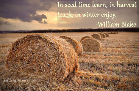 Quote by William Blake | The Muse | Scoop.it