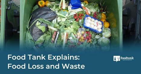 FOOD TANK Explains: FOOD Loss and WASTE | CIHEAM Press Review | Scoop.it