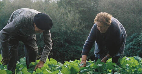 Victoire&nbsp;: les derniers mara&icirc;chers et for&ecirc;t sauvage d&rsquo;Anglet sont sauv&eacute;s | BABinfo Pays Basque | Scoop.it