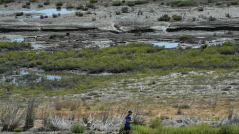 Coastal communities fortify shorelines against stronger storms, rising seas | Coastal Restoration | Scoop.it