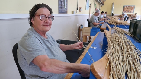 "On en produit 7 à 8 millions par an" : la paille dans le fromage AOP sainte-maure est fabriquée à Bridoré, près de Loches | Revue de presse économique du Sud Touraine | Scoop.it
