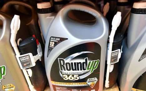 Le désherbant #Roundup de #Monsanto une nouvelle fois jugé #cancérigène par un jury #américain | RSE et Développement Durable | Scoop.it