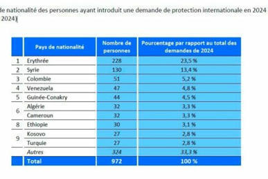 Flucht Wer bisher im Jahr 2024 internationalen Schutz in Luxemburg gesucht hat | Luxembourg (Europe) | Scoop.it