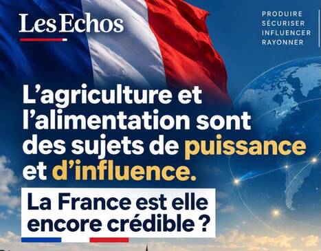 L'ECHO DEMETER : L'agriculture est devenue un sujet de puissance et d'influence&nbsp; | L'ECHO DEMETER | Scoop.it