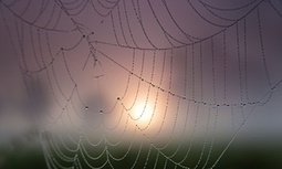 Why the internet of things favours dominance | Web 3.0 | Scoop.it