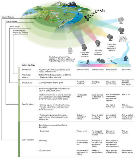 Diverse values of nature for sustainability | Biodiversité | Scoop.it