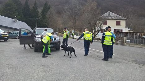 Hautes-Pyrénées : plus de 700 conducteurs contrôlés au retour des stations de ski  | Vallées d'Aure & Louron - Pyrénées | Scoop.it