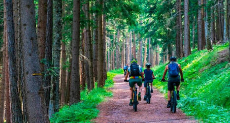 Le Luxembourg veut s’imposer comme destination VTT et gravel | Tourisme de randonnées                                                                                                                                                                                 & Sports de nature pour les pros | Scoop.it