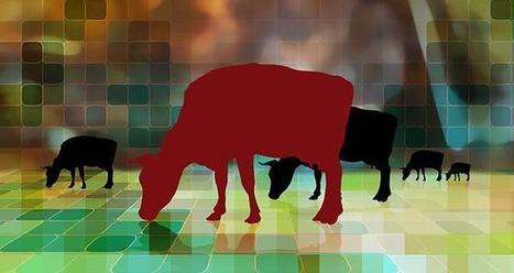 Imaginer le futur de l'agriculture connectée | Actualités de l'élevage | Scoop.it