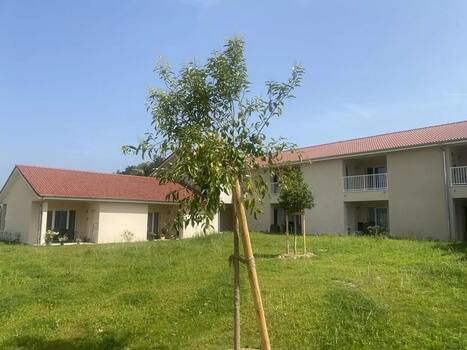 Habitat partag&eacute; seniors : La Maison de Blandine inaugure sa troisi&egrave;me maison en Is&egrave;re &agrave; Faramans #LaMaisonDeBlandine #HabitatPartag&eacute; #LogementSeniors #R&eacute;sidencesSeniors | Ehpad,Maison de Retraite, D&eacute;pendance, Personnes Ag&eacute;es, Silver Economie | Scoop.it