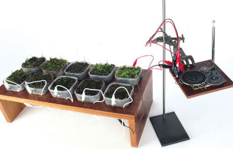 Radio FM alimentada con plantas | tecno4 | Scoop.it