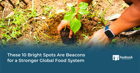 These 10 Bright Spots Are Beacons for a Stronger Global FOOD SYSTEM | CIHEAM Press Review | Scoop.it