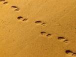 10 steps to successful customer journey mapping | Coachingtools | Scoop.it