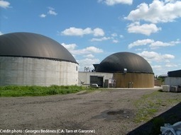 Etat des lieux de la méthanisation agricole en France | SCIENCES DE L' ANIMAL | Scoop.it
