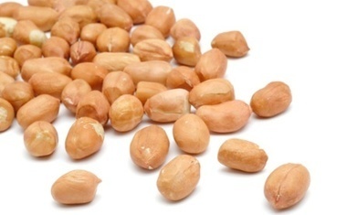 Peanut allergy researchers say they may have found key to a cure | Allergy (and clinical immunology) | Scoop.it