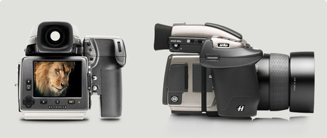 Ante el ataque de la Nikon D800 Hasselblad reduce sus precios 22.9% | FOTOGRAFIA Y VIDEO HDSLR PHOTOGRAPHY & VIDEO | Scoop.it