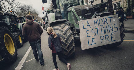 Agriculture intensive : la FNSEA fait sa loi au Parlement | Les Colocs du jardin | Scoop.it