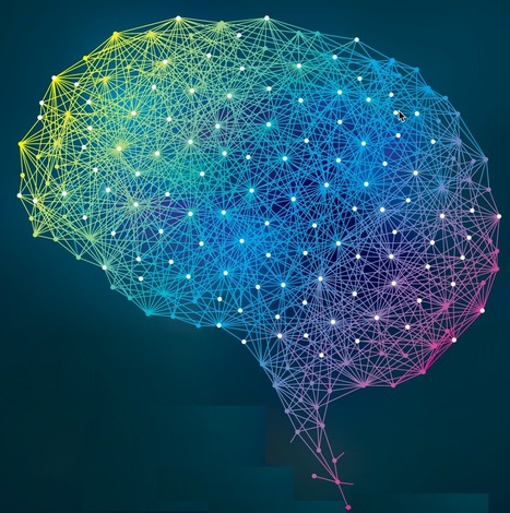 Kurzweil : "New algorithm will allow for simulating neural connections of entire brain... | Ce monde à inventer ! | Scoop.it