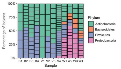 Prevalence and correlates of phenazine resistance in culturable bacteria from a dryland wheat field | Brvp | RMH | Scoop.it