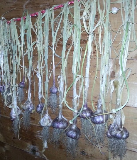 The A-Z of Great Customer Service | Branded Customer Service | Scoop.it