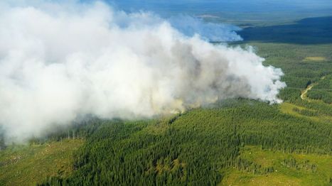 Vague de sécheresse en Europe, le Cercle arctique prend feu | Meilleure revue de presse de l'univers connu | Scoop.it