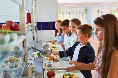 &laquo; Chouette Cantine &raquo; : le projet d&rsquo;&eacute;ducation au go&ucirc;t en restauration scolaire change d&rsquo;&eacute;chelle | Territoires, transitions et innovations | Scoop.it