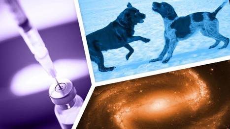 Koettele nippelitietouttasi loppuvuoden tiedevisassa | A1Uutiset | Scoop.it