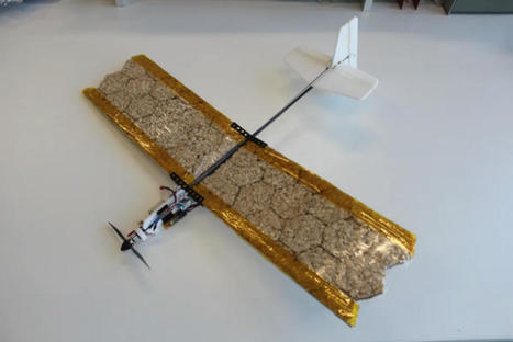 Ce drone vole avec des ailes à base de riz - Usine Nouvelle | Pour innover en agriculture | Scoop.it