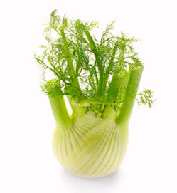 Tout savoir sur le fenouil! | Recettes Index Glyc&eacute;miques Bas | Scoop.it