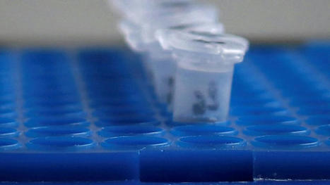 [INP-LAPLACE] Des visites insolites dans des laboratoires à gagner avec le CNRS | Évènements | Scoop.it