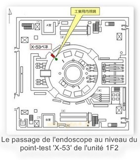 Contamination : Tepco reconnait que Fukushima-Daiichi "crache" 3.5 fois plus de radio-c&eacute;sium en janvier qu'en d&eacute;cembre | Plan&egrave;te, Nature et Biodiversit&eacute; | Scoop.it