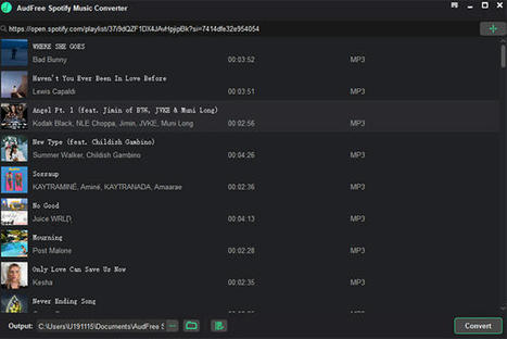 How to Play Spotify on Raspberry Pi - Top 4 Ways | Raspberry Pi | Scoop.it