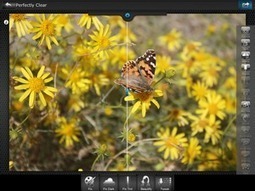 Review: Perfectly Clear iOS photo editor both stuns and underwhelms | TechHive | Smartphone Apps: Android and IPhone | Scoop.it