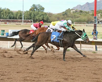 Three Days in the Desert: RTIP, HISA, AI and Humans - BloodHorse | Racing News | Scoop.it