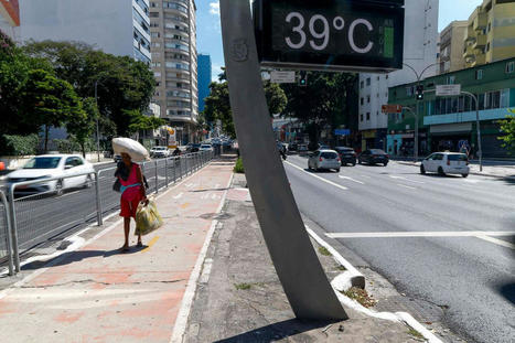 Les douze derniers mois ont été les plus chauds jamais enregistrés sur la planète | Changement climatique & Biodiversité | Scoop.it