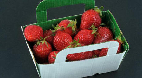 Fraises Fraîches Longtemps: Carton Intelligent | Agroalimentaire | Scoop.it
