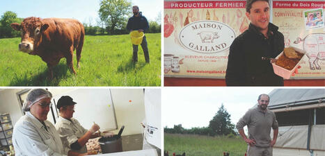 Agriculture. Des producteurs de plus en plus tentés par la vente directe et le circuit court | Revue de presse économique du Sud Touraine | Scoop.it