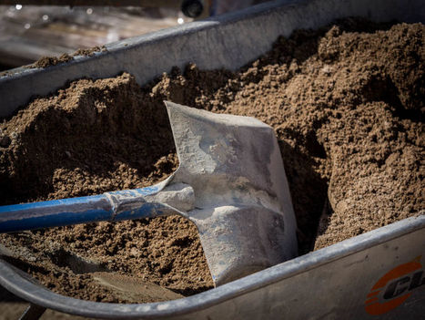 Turkin hallitus kiist&auml;&auml; metsitystempauksensa ep&auml;onnistuneen &ndash; ammattiliitto arvelee l&auml;hes kaikkien istutettujen puuntaimien kuolleen | Yle Uutiset | yle.fi | 1Uutiset - Lukemisen t&auml;hden | Scoop.it