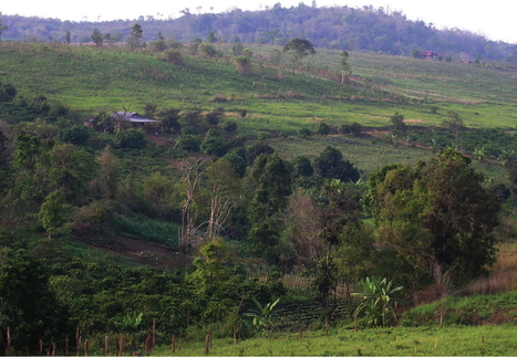 In Defense of the Commons - Commons Transition | Peer2Politics | Scoop.it